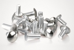 Stainless Steel rivets